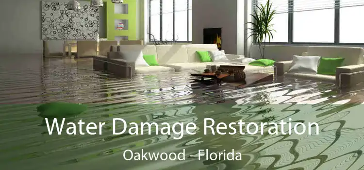 Water Damage Restoration Oakwood - Florida