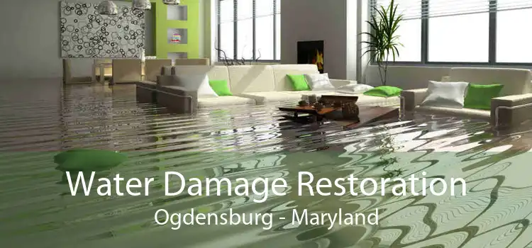 Water Damage Restoration Ogdensburg - Maryland