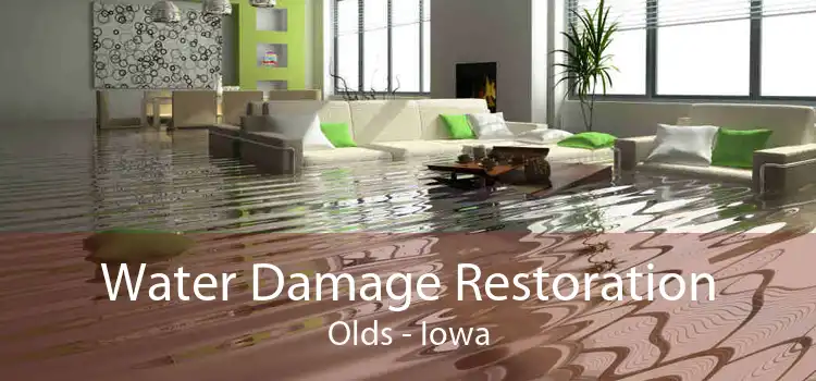 Water Damage Restoration Olds - Iowa