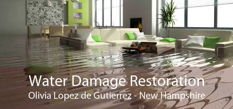 Water Damage Restoration Olivia Lopez de Gutierrez - New Hampshire