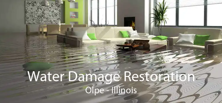 Water Damage Restoration Olpe - Illinois