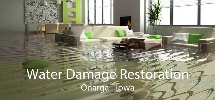Water Damage Restoration Onarga - Iowa