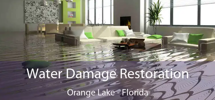 Water Damage Restoration Orange Lake - Florida