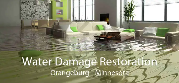 Water Damage Restoration Orangeburg - Minnesota