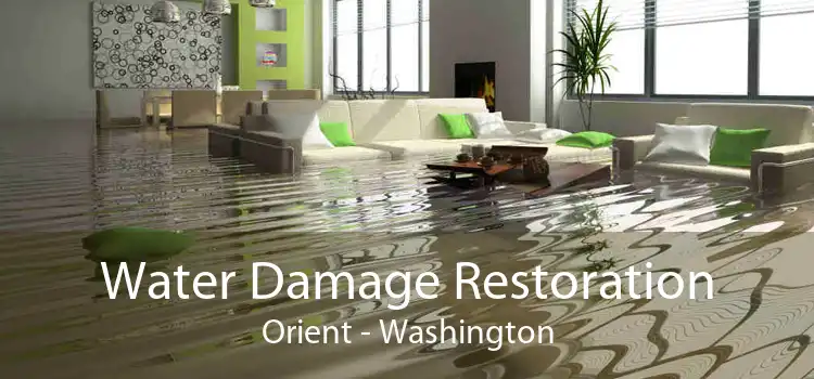 Water Damage Restoration Orient - Washington