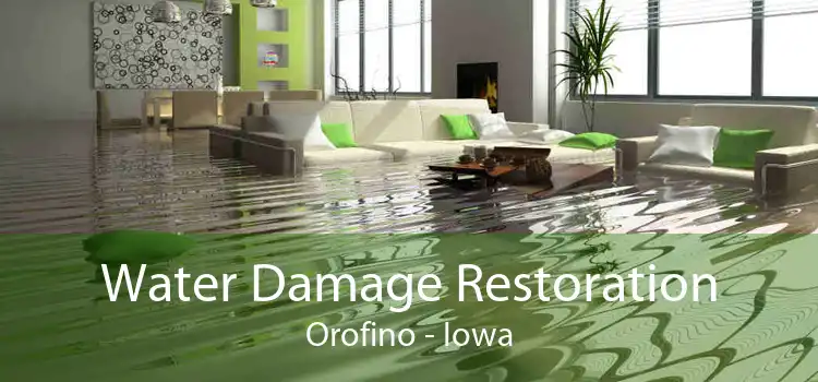 Water Damage Restoration Orofino - Iowa