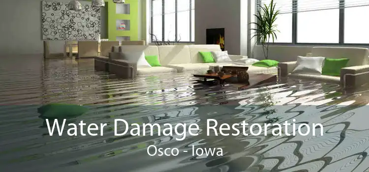 Water Damage Restoration Osco - Iowa