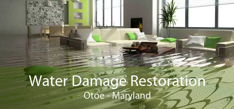 Water Damage Restoration Otoe - Maryland