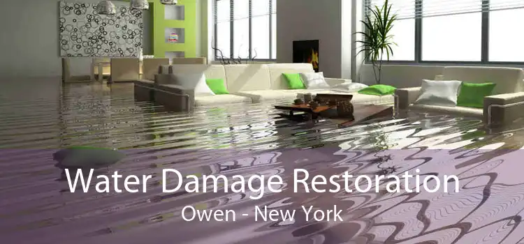 Water Damage Restoration Owen - New York