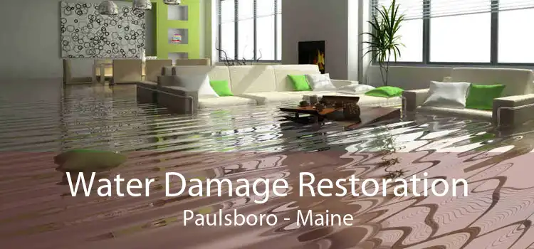 Water Damage Restoration Paulsboro - Maine