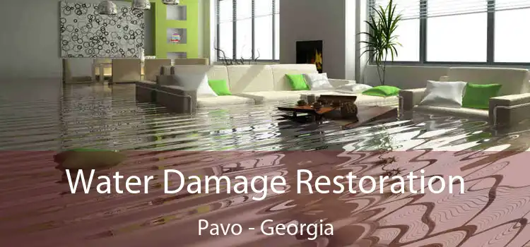 Water Damage Restoration Pavo - Georgia