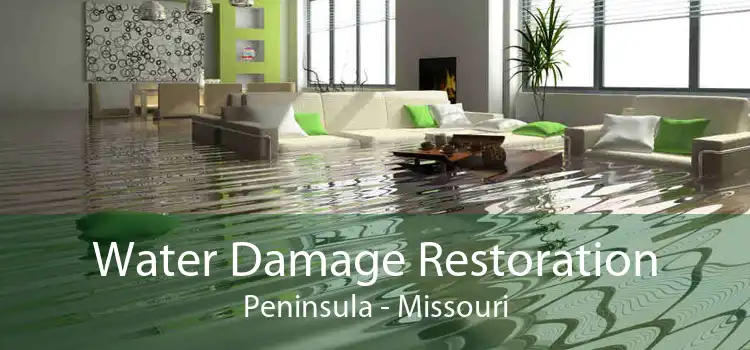 Water Damage Restoration Peninsula - Missouri