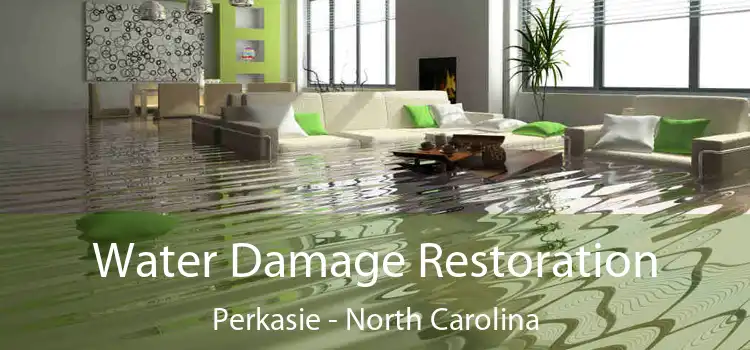 Water Damage Restoration Perkasie - North Carolina