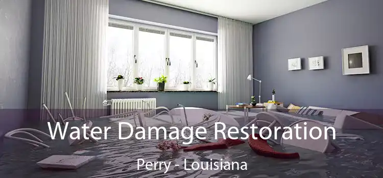 Water Damage Restoration Perry - Louisiana
