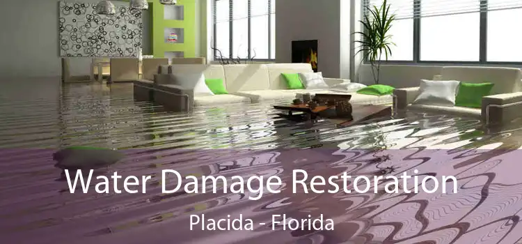 Water Damage Restoration Placida - Florida