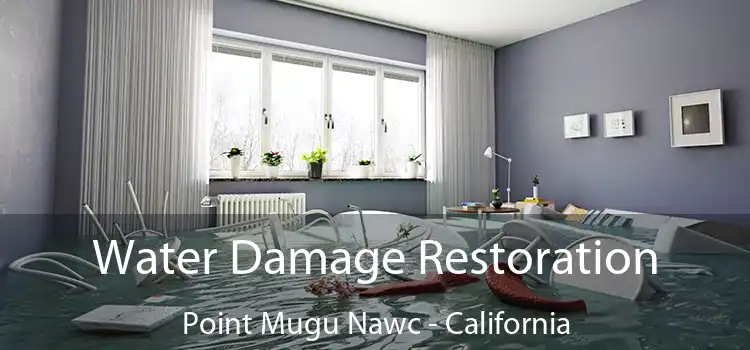 Water Damage Restoration Point Mugu Nawc - California