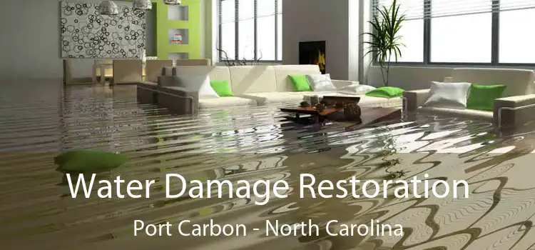 Water Damage Restoration Port Carbon - North Carolina