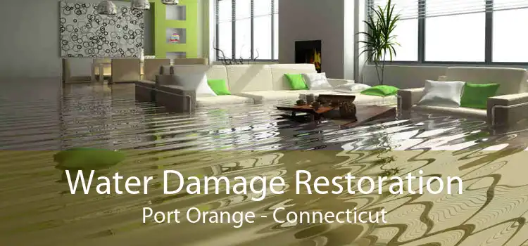 Water Damage Restoration Port Orange - Connecticut