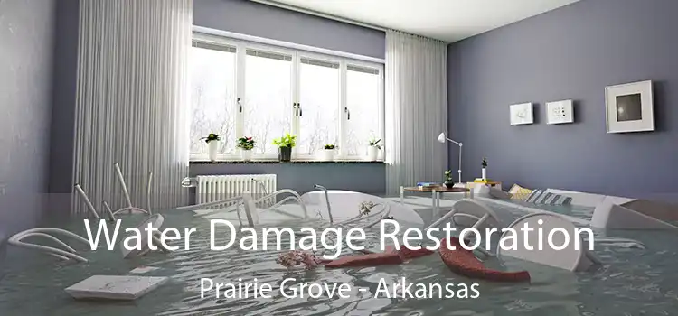 Water Damage Restoration Prairie Grove - Arkansas