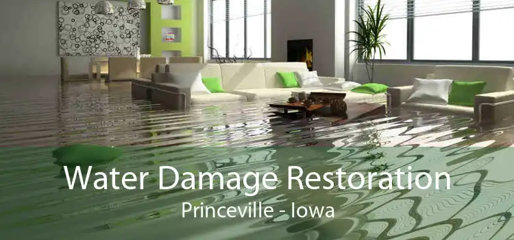 Water Damage Restoration Princeville - Iowa