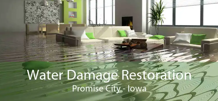 Water Damage Restoration Promise City - Iowa