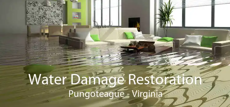 Water Damage Restoration Pungoteague - Virginia