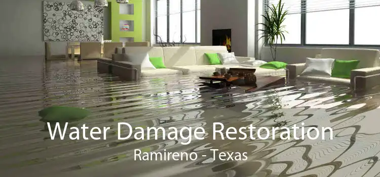 Water Damage Restoration Ramireno - Texas
