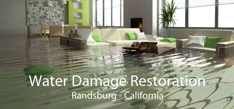 Water Damage Restoration Randsburg - California