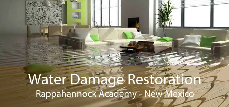 Water Damage Restoration Rappahannock Academy - New Mexico