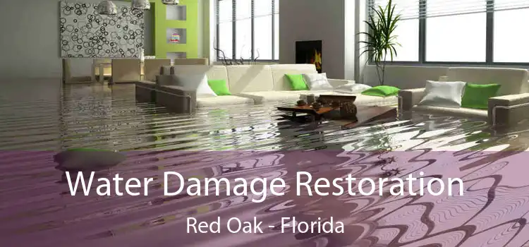 Water Damage Restoration Red Oak - Florida