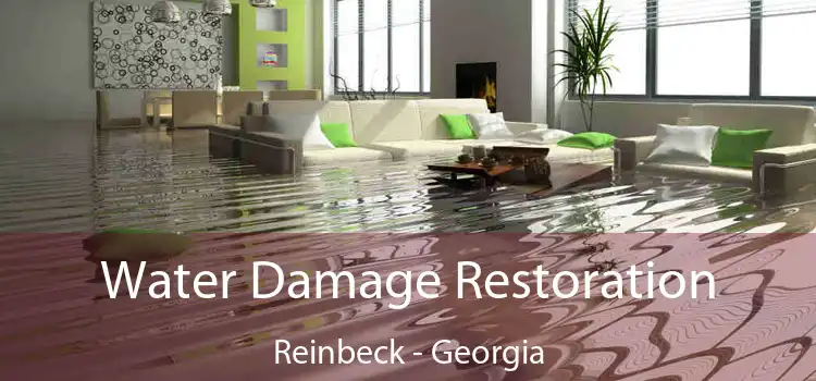 Water Damage Restoration Reinbeck - Georgia