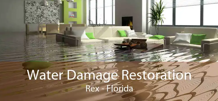 Water Damage Restoration Rex - Florida