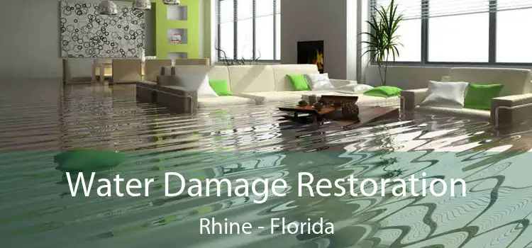 Water Damage Restoration Rhine - Florida