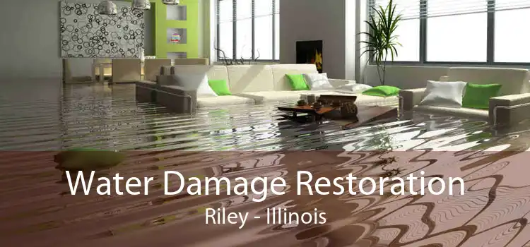 Water Damage Restoration Riley - Illinois