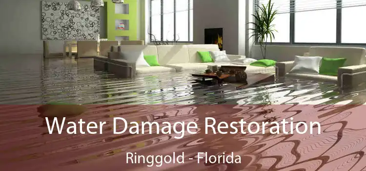 Water Damage Restoration Ringgold - Florida