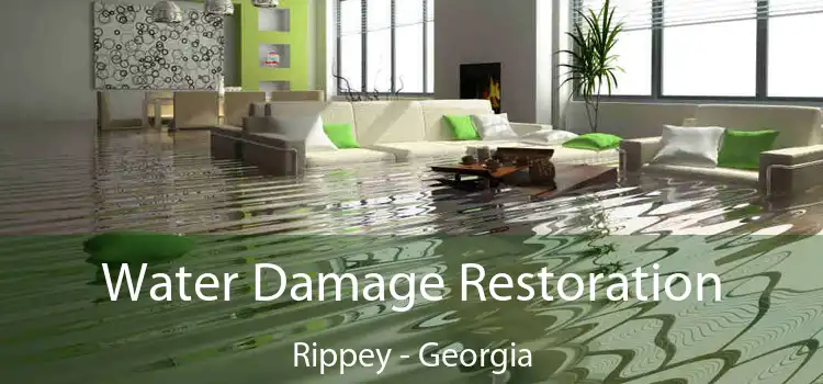 Water Damage Restoration Rippey - Georgia