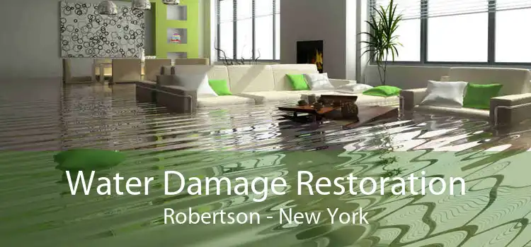 Water Damage Restoration Robertson - New York