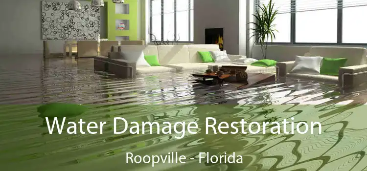 Water Damage Restoration Roopville - Florida