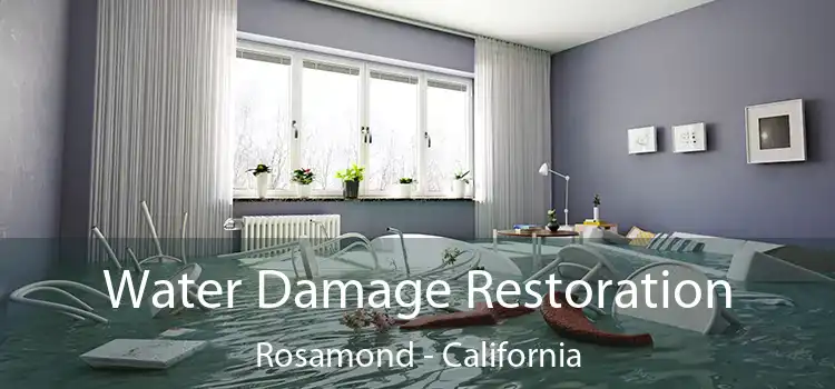 Water Damage Restoration Rosamond - California