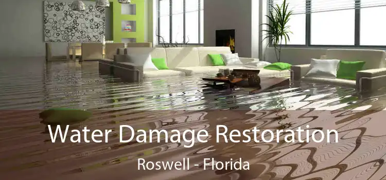 Water Damage Restoration Roswell - Florida