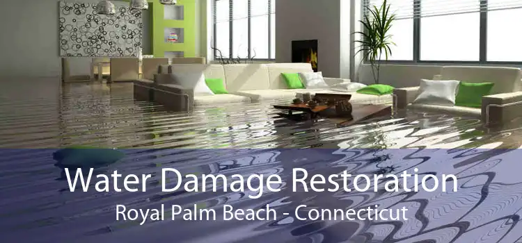 Water Damage Restoration Royal Palm Beach - Connecticut