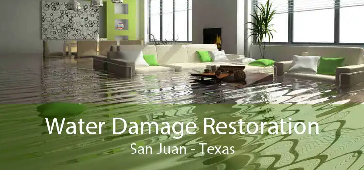 Water Damage Restoration San Juan - Texas