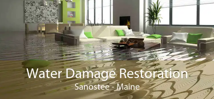 Water Damage Restoration Sanostee - Maine