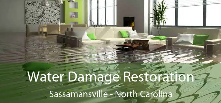 Water Damage Restoration Sassamansville - North Carolina