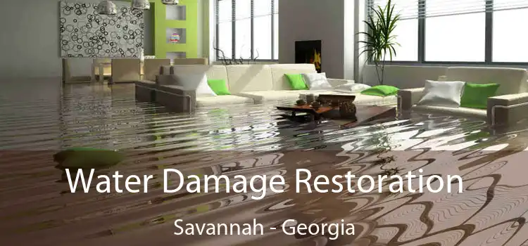 Water Damage Restoration Savannah - Georgia