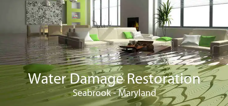 Water Damage Restoration Seabrook - Maryland