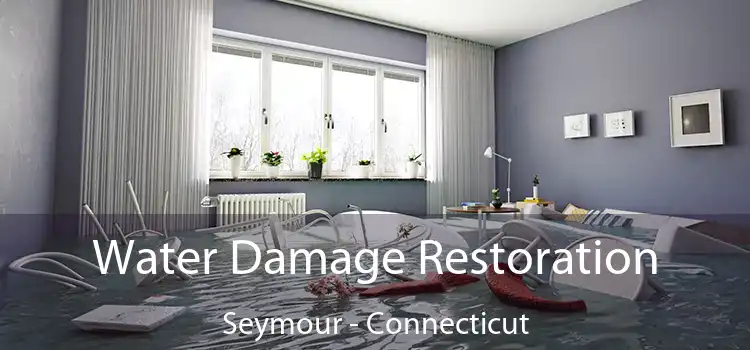 Water Damage Restoration Seymour - Connecticut