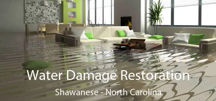 Water Damage Restoration Shawanese - North Carolina