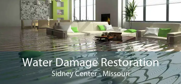 Water Damage Restoration Sidney Center - Missouri