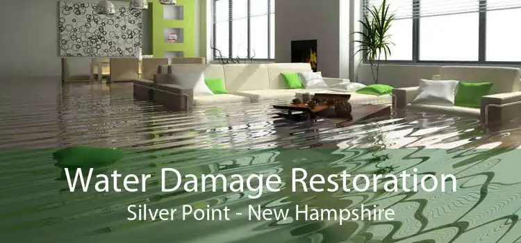 Water Damage Restoration Silver Point - New Hampshire